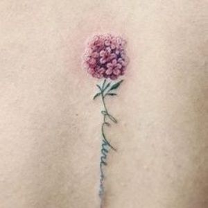 Meet your Posher, Sage